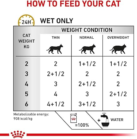 ROYAL CANIN Urinary S/O 85g