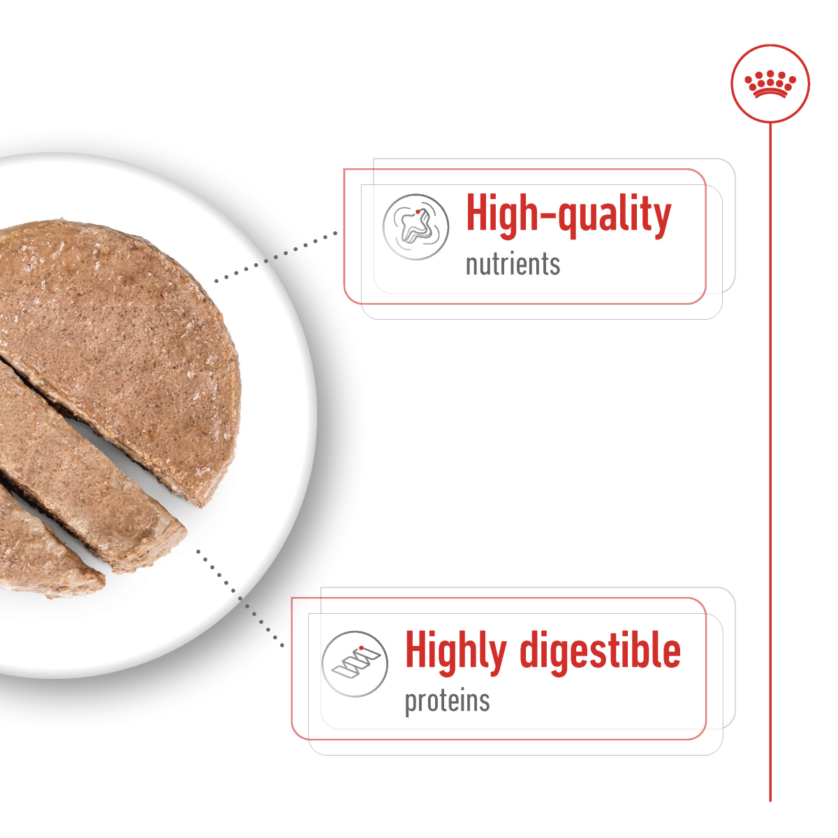 Size Health Nutrition Maxi Adult (Wet Food - Can) 12 x 410 g