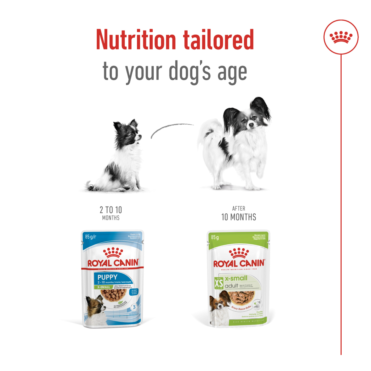 Size Health Nutrition XS Adult (Wet Food - Pouches) 12 x 85 g